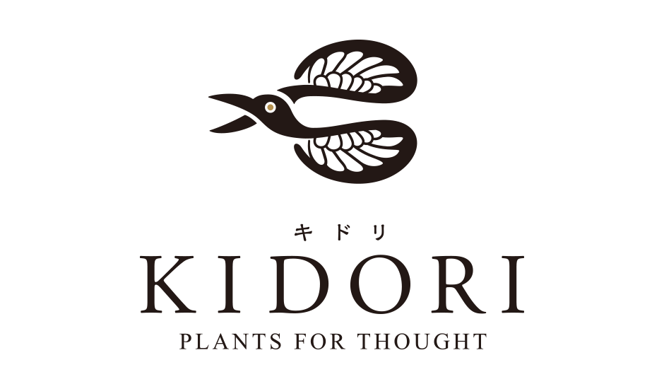 盆栽、多肉植物、塊根植物、観葉植物通販/KIDORI -キドリ-