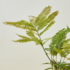 エバーフレッシュS